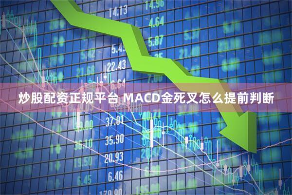 炒股配资正规平台 MACD金死叉怎么提前判断