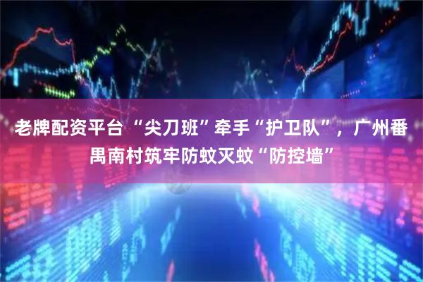 老牌配资平台 “尖刀班”牵手“护卫队”，广州番禺南村筑牢防蚊灭蚊“防控墙”